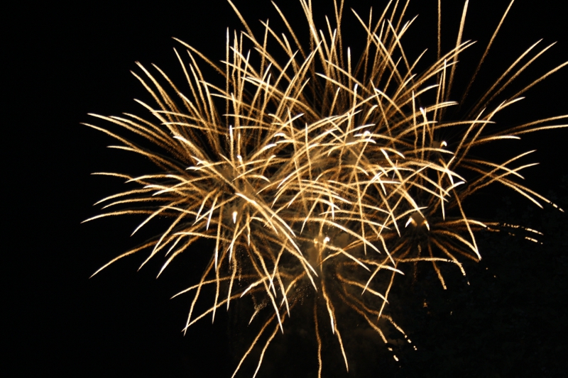 27.jpg - Der japanische Zauber - Veena Mehta