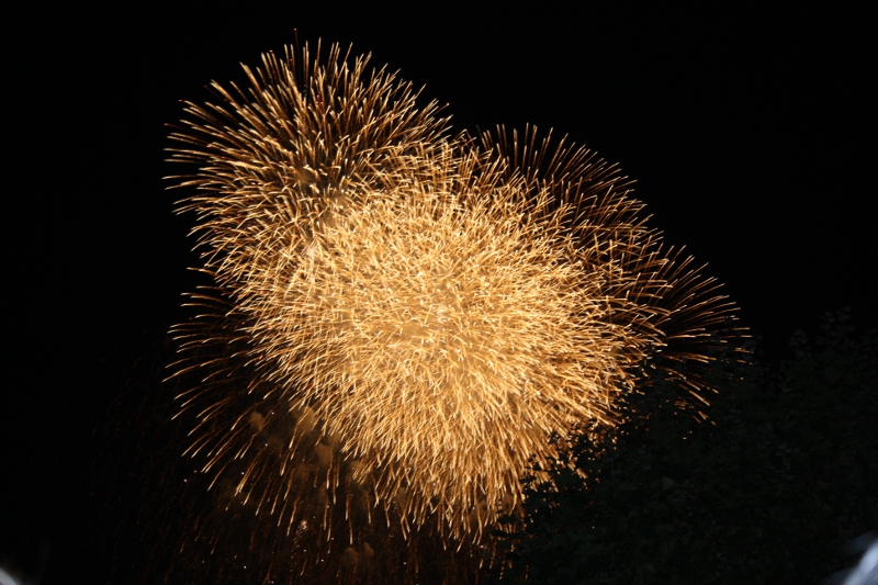 28.jpg - Der japanische Zauber - Veena Mehta