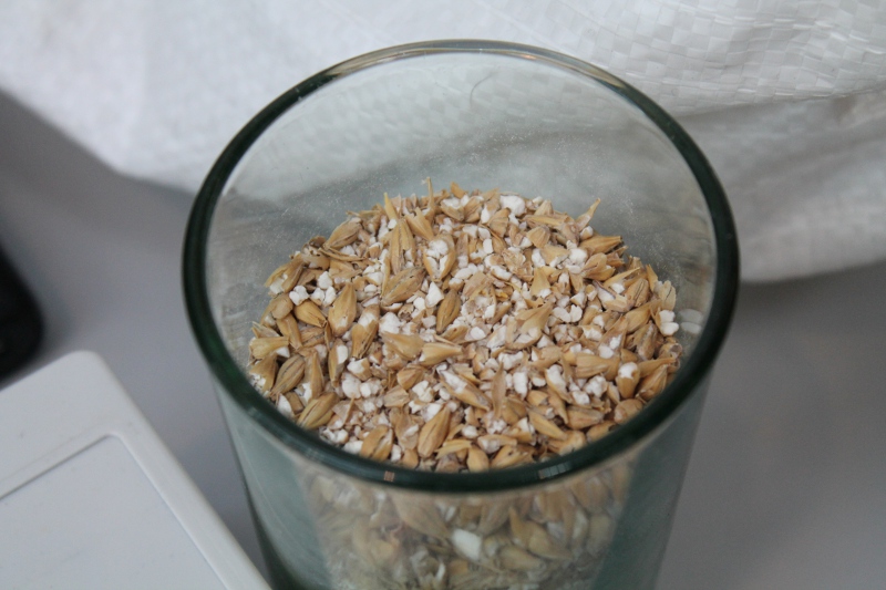 Gerste_Bier_Brauen.jpg - Schüler forschen mit Bier und Handy-Akkus - marcus Gerste_Bier_Brauen.jpg - Schüler forschen mit Bier und Handy-Akkus - marcus