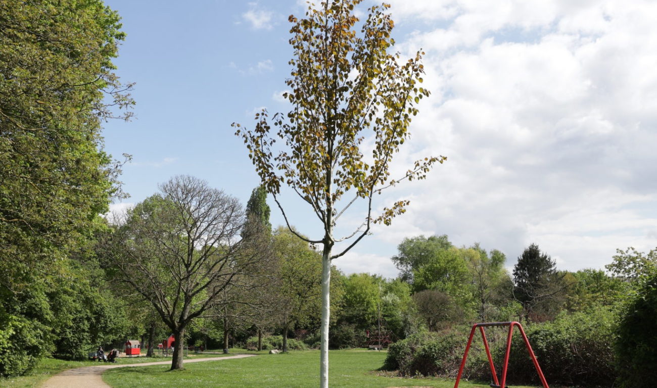 (Foto: Landeshauptstadt Düsseldorf/David Young)